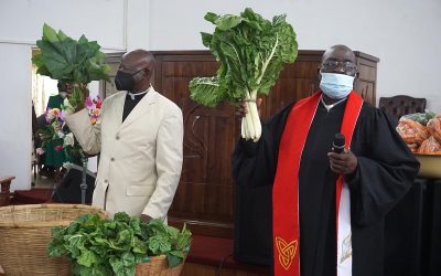 Zimbabwe United Methodists share bounty
