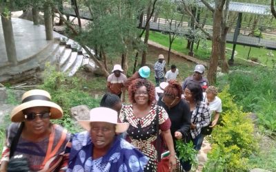 St. John’s Rusape tours Nyaradzo projects